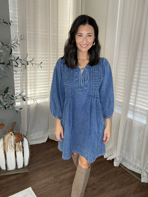 Feast Your Eyes On It Denim Dress