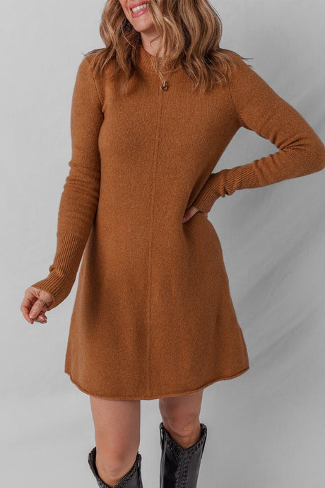 Brown Sweater Dress